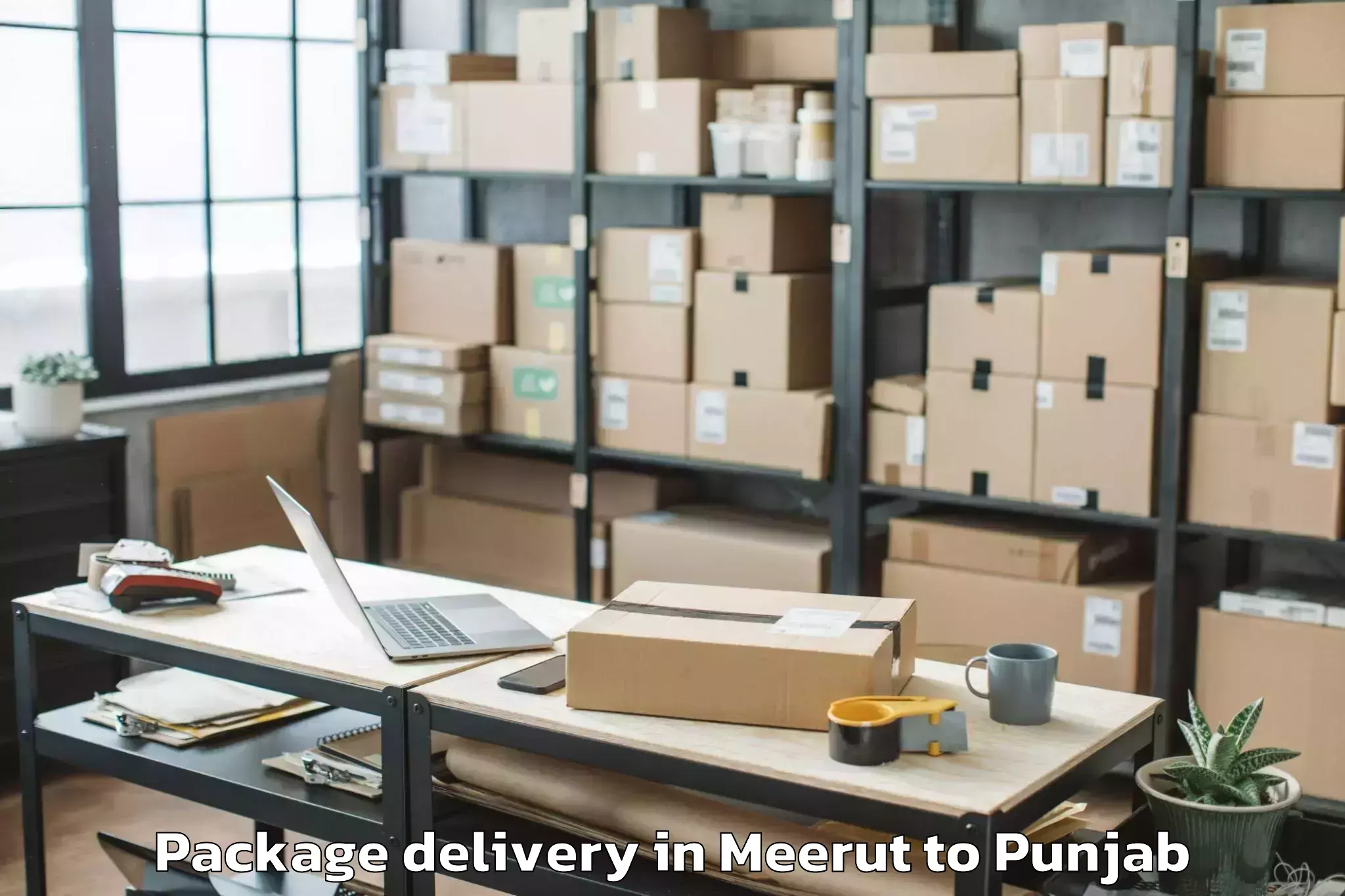 Easy Meerut to Balachor Package Delivery Booking